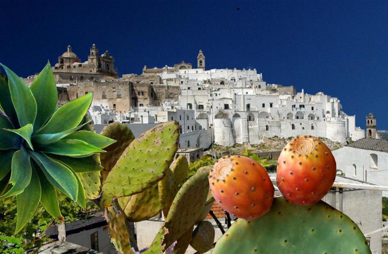Agriturismo Salinola Ostuni Buitenkant foto